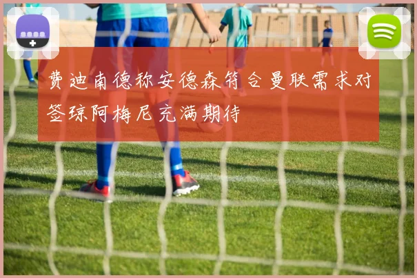 费迪南德称安德森符合曼联需求对签琼阿梅尼充满期待